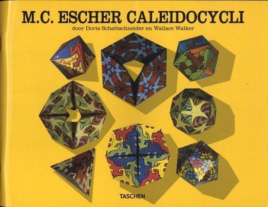 M.C. Escher Caleidocycli 9783894500900 D. Schattschneider, Boeken, Hobby en Vrije tijd, Gelezen, Verzenden