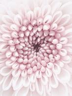 Inna Etuvgi - Echoes