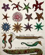 Matthäus Merian (1593-1650) - hand coloured engraving: