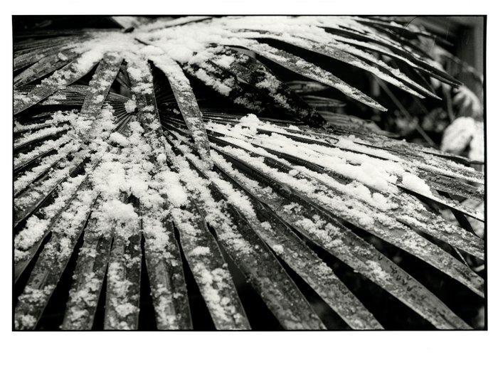 JM SIMOES - Apparentes contradictions, Antiek en Kunst, Kunst | Designobjecten