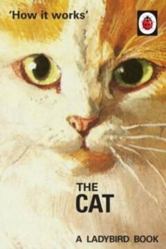 How it Works. The Cat 9780718184339 Jason Hazeley, Boeken, Taal | Engels, Zo goed als nieuw, Verzenden