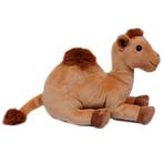 Eco Knuffel Dromedaris - liggend - Geborduurde Ogen - 26 cm, Ophalen of Verzenden, Nieuw