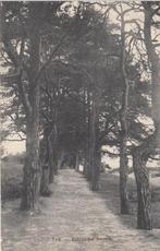 EDE - Tra - Edesche Bosch, Verzenden, Gelopen