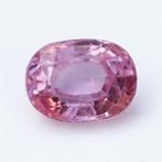 1 pcs Roze Saffier - 1.59 ct - International Gemological, Nieuw
