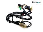 Kabelboom Honda VTR 250 1989-1990 Interceptor, Motoren, Verzenden, Gebruikt