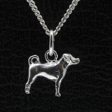 Zilveren Appenzeller sennenhond ketting hanger - klein, Sieraden, Tassen en Uiterlijk, Kettinghangers, Verzenden