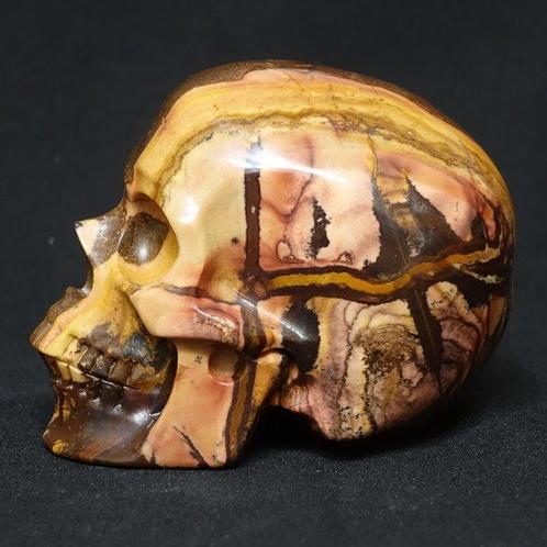 Jaspis (Niet in reserveringsprijs) - Menselijke schedel, met, Verzamelen, Mineralen en Fossielen