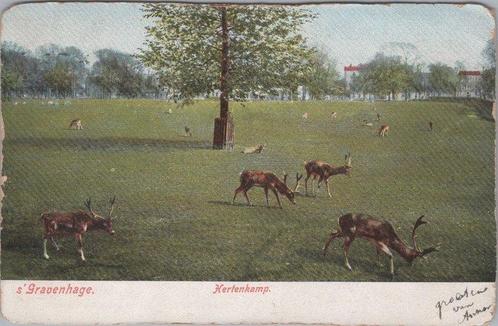 S GRAVENHAGE - Hertenkamp, Verzamelen, Ansichtkaarten | Nederland, Verzenden