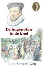 9789461151148 Historische reeks 29 - De hugenoten in de knel, Boeken, Nieuw, P. de Zeeuw Jgzn, Verzenden
