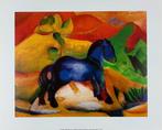 Franz Marc (1880-1916) - Little Blue Horse, 1913 - Artprint
