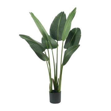 IvoQ Strelitzia Kunstplant 120 cm – Duurzaam en Realistisch