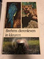 Brehms dierenleven in kleuren 9789002121012 Brehm, Boeken, Verzenden, Gelezen, Brehm