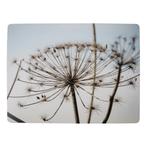 placemat natuur berenklauw 30x40cm (4), Huis en Inrichting, Woonaccessoires | Overige, Verzenden, Nieuw