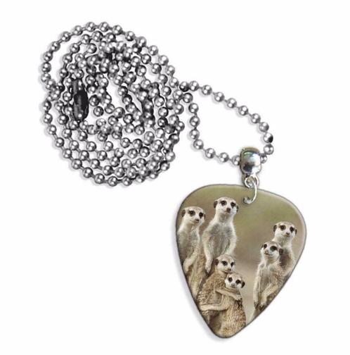 Plectrum ketting of sleutelhanger van Stokstaartjes, Verzamelen, Overige Verzamelen, Nieuw, Ophalen of Verzenden
