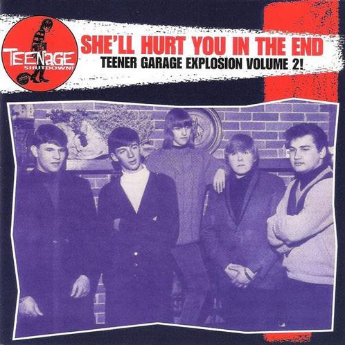 cd - Various - Shell Hurt You In The End (Teener Garage..., Cd's en Dvd's, Cd's | Overige Cd's, Zo goed als nieuw, Verzenden