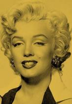 Silver Marilyn | George Belmont | 9783829609524, Zo goed als nieuw, George Belmont