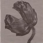 cd - Pet Shop Boys - Release, Verzenden, Zo goed als nieuw