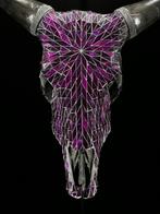 GEEN MINIMUMPRIJS - Prachtige koe schedel met