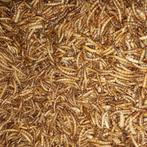 Meelwormen - Meelwormen 1000 ml - Kip    - Versnaperingen, Dieren en Toebehoren, Verzenden, Nieuw