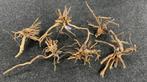 Drift wood 30-50cm - extra fijn vertakt hout, Ophalen of Verzenden, Nieuw, Plant(en), Steen of Hout