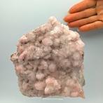 Elegante MANGANOCALCITE ROSA, mantel fiorito 15cm Kristallen, Verzamelen, Mineralen en Fossielen