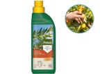 Pokon Citrus Planten Voeding - 250ml - Voor Citrus en, Tuin en Terras, Plantenvoeding, Verzenden, Nieuw