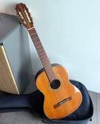 Aria - De concert mod AC-8 MIJ 1970s + étui + tuner - -, Nieuw