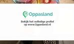 Eveline zoekt een oppas in Loosdrecht voor 2 kinderen op...