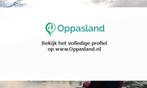 Ik ben Jitske en ik zoek oppaswerk in Hilversum., Diensten en Vakmensen, Dieren | Paarden | Verzorging, Oppas en Les