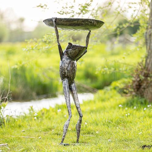 metalen waterbak met kikker - Mooievogels.nl, Antiek en Kunst, Kunst | Beelden en Houtsnijwerken, Ophalen of Verzenden