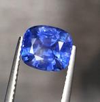1 pcs Blauw Saffier - 2.69 ct - Asian Institute of, Nieuw