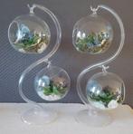Glasarrangement standaard S-vorm incl. 2 bollen zie video, Hobby en Vrije tijd, Knutselen, Ophalen of Verzenden, Nieuw