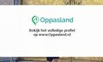 Elyas zoekt een oppas in Enschede voor 7 kinderen op vrij..., Vacatures, Vacatures | Klantenservice en Callcenter