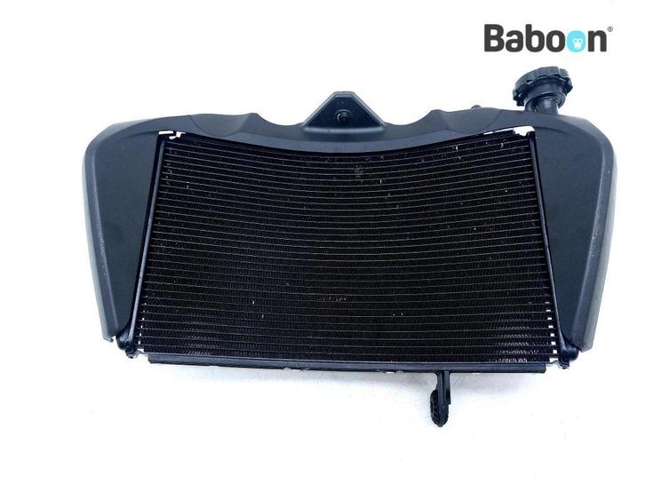 Radiateur Ducati Monster 821 2014-2016, Motoren, Onderdelen | Ducati, Gebruikt, Verzenden