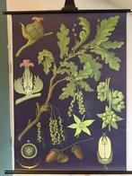 eiche - Jung Koch Quentell, Eik met beschrijving 1967 -, Antiek en Kunst