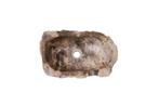 Fossiel Waskom 48x29x14 cm | Versteend Hout, Verzenden, Nieuw, Wastafelkast