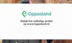 Iris zoekt een oppas in Putten voor 1 kind op zaterdag., Boeken, Nieuw
