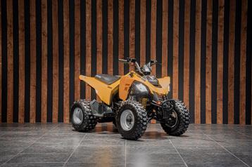 Can-am DS 250 beschikbaar voor biedingen