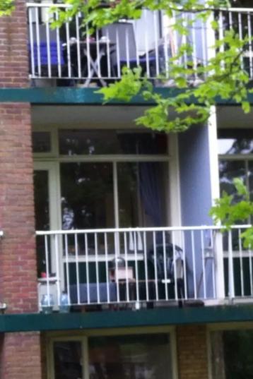 Mooie ruime studio te huur Anna van Burenlaan in Ede beschikbaar voor biedingen