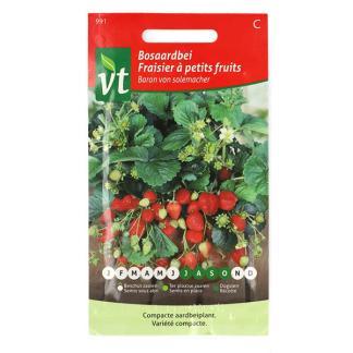 Aardbeienzaad | VT (Bosaardbei), Tuin en Terras, Bloembollen en Zaden, Verzenden