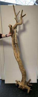 Osaka XL36 uniek aquarium decoratie hout  175x90x30cm, Dieren en Toebehoren, Vissen | Aquaria en Toebehoren, Ophalen of Verzenden