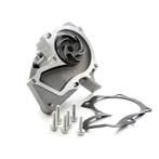 Ford Waterpump 7s7g 8591 A2c 1778516, Auto-onderdelen, Motor en Toebehoren, Verzenden, Nieuw, Ford