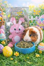 De leukste PASEN SHOP voor iedere cavia konijn liefhebber !, Ophalen of Verzenden, Nieuw, Speelgoed