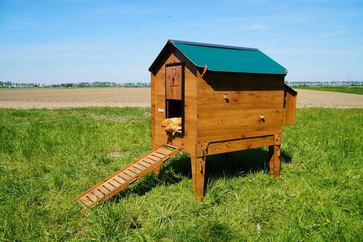 Trespa Kippenhok / Cucciolotta Classic XL Op Pootjes, Dieren en Toebehoren, Pluimvee | Toebehoren, Ophalen of Verzenden