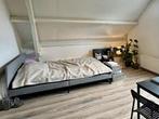 Studio Noordsingel in Rotterdam, Overige soorten, Zuid-Holland