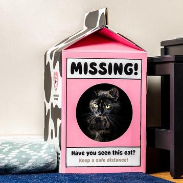 Speelhuisje Poes - Melkpak Missing! - DIY - Karton - 57.5x30 beschikbaar voor biedingen
