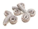 Palm male ring 10-15cm frosted white 15pcs, Hobby en Vrije tijd, Knutselen, Ophalen of Verzenden, Nieuw