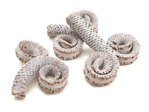 Palm male ring 10-15cm frosted white 15pcs, Hobby en Vrije tijd, Knutselen, Nieuw, Ophalen of Verzenden