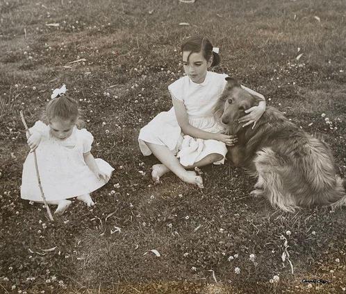 Richard Avedon - Liza Minnelli and sister Lorna with dog., Antiek en Kunst, Kunst | Schilderijen | Modern