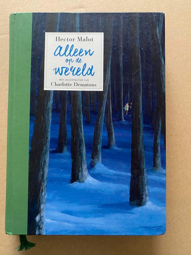 Hector Malot - Alleen op de Wereld - Luxe - met illustraties, Boeken, Kinderboeken | Jeugd | 10 tot 12 jaar, Fictie, Zo goed als nieuw